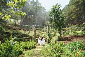 Mơ Stay Forest Resort