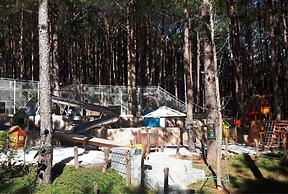 Mơ Stay Forest Resort