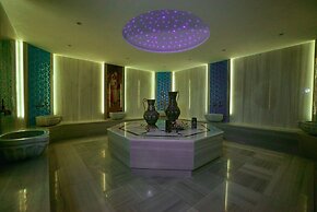 Mc Palace Hotel