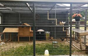 Old Town FOCO Luxury Suite