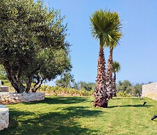 Oinolithos Luxury Villas