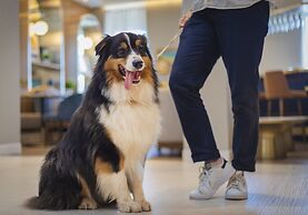 voco Fiorello - LaGuardia East by IHG