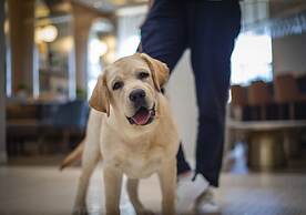 voco Fiorello - LaGuardia East by IHG