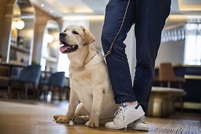 voco Fiorello - LaGuardia East by IHG