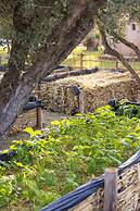 Villa Serena Marrakech