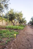 Villa Serena Marrakech