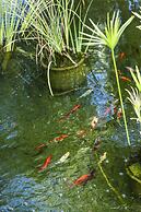 Villa Serena Marrakech