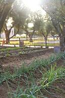 Villa Serena Marrakech