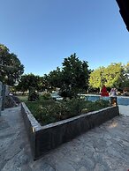 Olsen Hotels