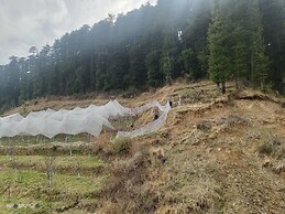 The Jungle Mountain Retreat