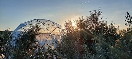 Glamping Skies
