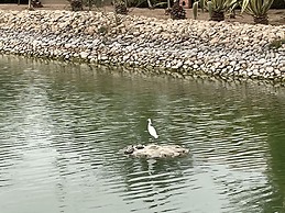 Au Coeur De La Palmeraie De Marrakech