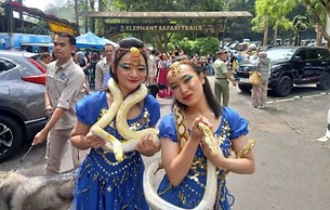 Eton Asia Kota Bunga Villas