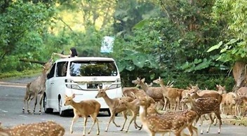 Eton Asia Kota Bunga Villas