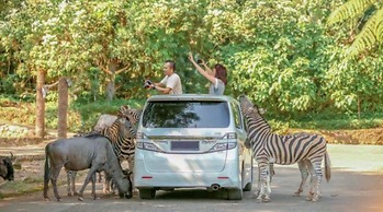 Eton Asia Kota Bunga Villas