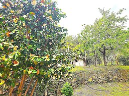 YALLA HOTEL CHOREFTO