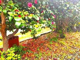 YALLA HOTEL CHOREFTO