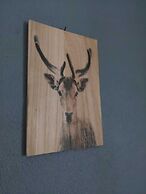 Nederhögen Vildmarkscenter