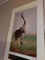 Nederhögen Vildmarkscenter