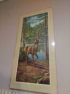 Nederhögen Vildmarkscenter