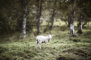Nederhögen Vildmarkscenter