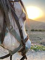 Twilight Hotel Petra