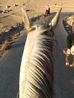 Twilight Hotel Petra