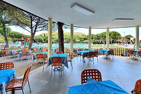 Camping Lacona Pineta