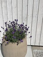 Villa Vitvikenb i Gotland, Pool