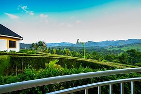 THE CRESTED CRANE BWINDI HOTEL