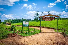 THE CRESTED CRANE BWINDI HOTEL