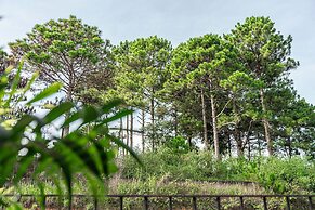 Mien Suong Khoi - Home & Cafe