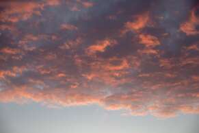 Dog Friendly Shepherd's Hut, Perfect for Couples