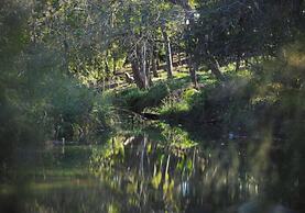 Onera Fredericksburg