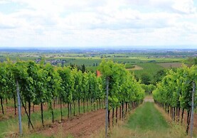 Onera Fredericksburg