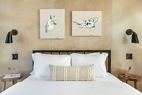 Onera Fredericksburg