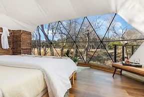 Onera Fredericksburg