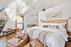 Onera Fredericksburg