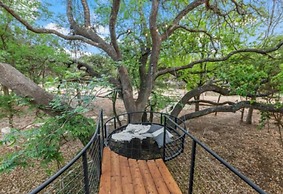 Onera Fredericksburg