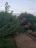 GM Suites Bed & Breakfast