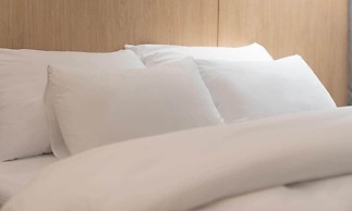 Siheung Brown Dot Jeongwang