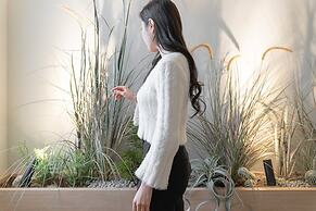 Siheung Brown Dot Jeongwang