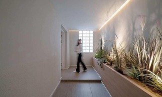 Siheung Brown Dot Jeongwang