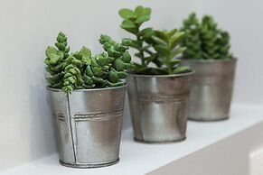 Renovated Gem in Zografou