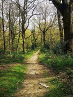 Madelines Accommodation