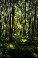 Madelines Accommodation