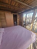 Las delicias del paraiso