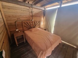 Las delicias del paraiso