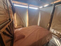 Las delicias del paraiso