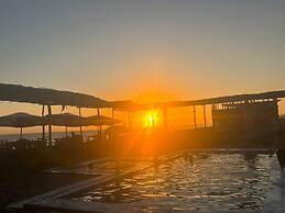 Las delicias del paraiso